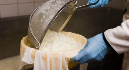 Cuajada del queso y elaboración
