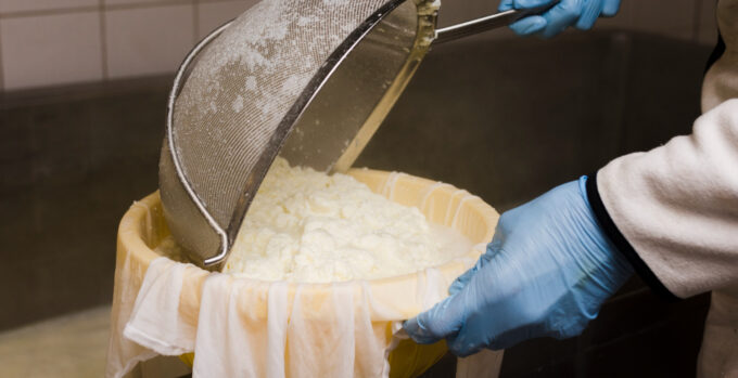 Cuajada del queso y elaboración